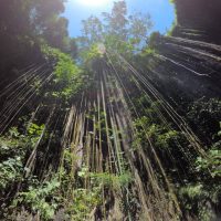 IMG-20181005-WA0022